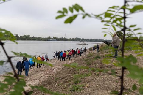 Derzeit noch ein bisschen trist, aber bald schon ein Juwel? Rund 30 Laubenheimer Bürger begutachten das Rheinufer. Foto: hbz/Stefan Sämmer