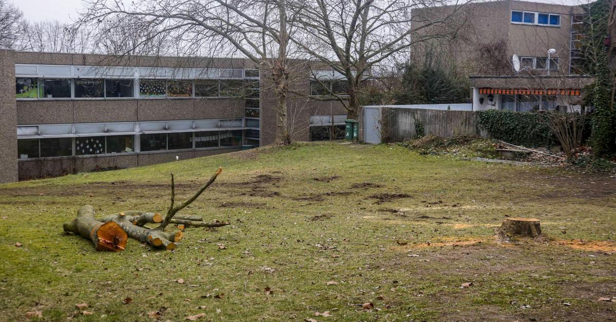 Zeitplan für Mombacher Schulstandort „Am Lemmchen“ steht