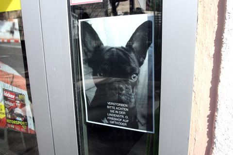 Ein Warnplakat im Fenster des Zeitschriftenladens in der Portlandstraße gegenüber der Schillerschule in Mainz-Weisenau appelliert an Hundebesitzer, besonders vorsichtig zu sein.