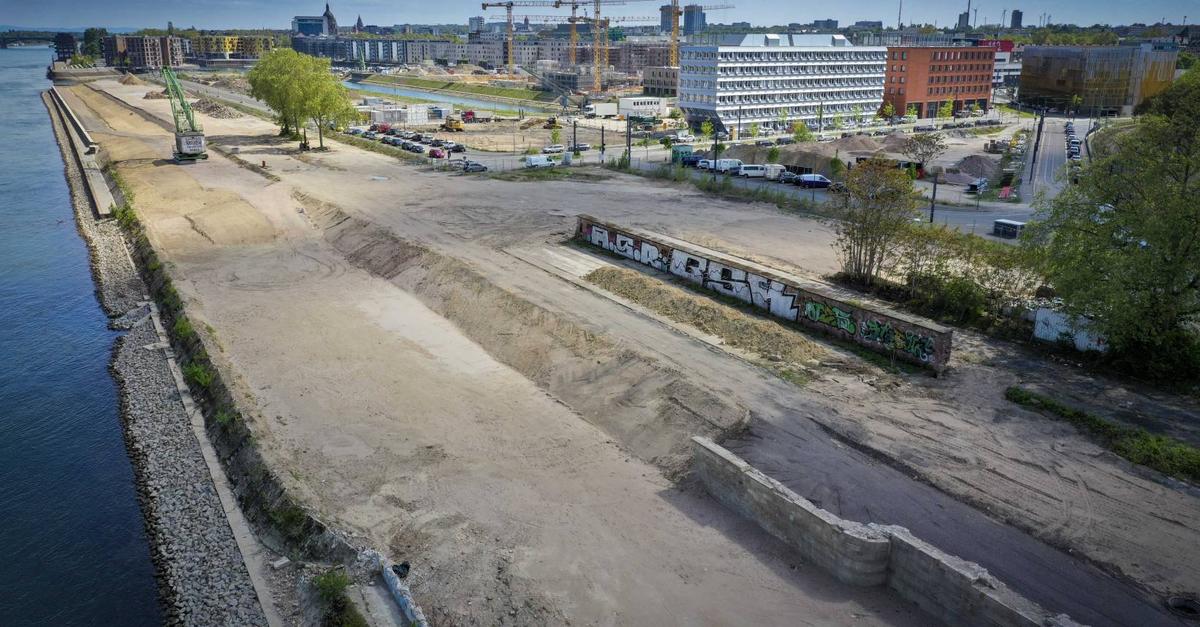 Mainzer Rheinufer: Mehr Grün am Zollhafen