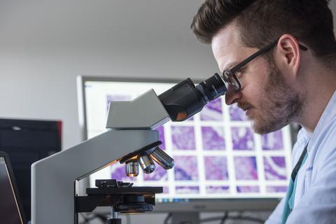 Forschung ist zeit-, personal- und kostenintensiv. Dr. Sebastian Försch etwa betreut pathologische Studien, die die Unterscheidung von gesundem und Tumorgewebe erleichtern sollen.