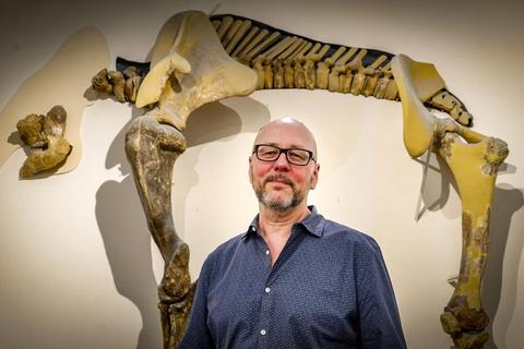 Der Paläoanthropolge und Saurierexperte Bernd Herkner ist neuer Leiter des Naturhistorischen Museums. Foto: Sascha Kopp