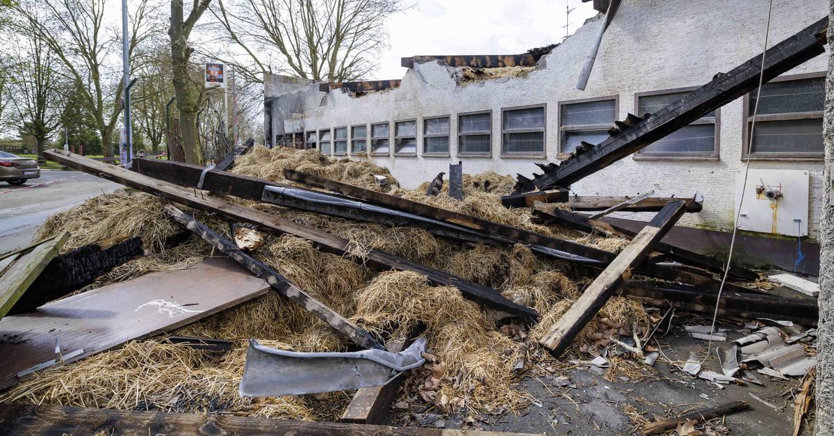 Reiterhof in Mainz-Hechtsheim: Wie geht es nach Brand in Silvesternacht ...