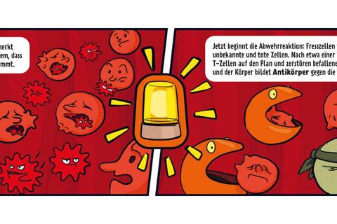 In anschaulichen Bildern erklärt der Comic, wie das Immunsystem und die Impfstoffe funktionieren. Foto: Unimedizin Mainz
