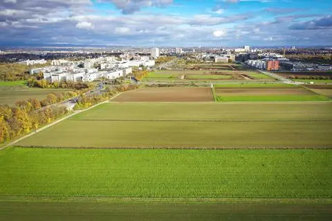 Auf diese Äcker im Vordergrund soll das Biotechnologie-Areal erweitert werden. An der Kaltluftschneise, die von hier in andere Stadtgebiete wie Gonsenheim und die Innenstadt führen soll, gibt es Zweifel.