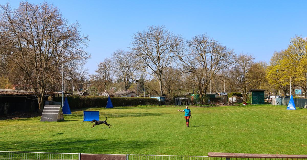 Hundesportverein kann vorerst in der Oberstadt bleiben