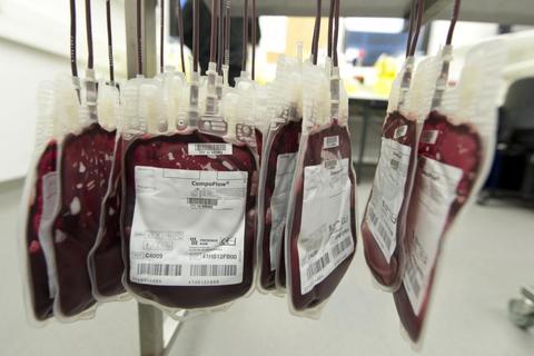 Die Transfusion von Fremdblut kann Leben retten, birgt aber auch Risiken, weshalb das KKM Patient Blood Management eingeführt hat.Foto: dpa  Foto: dpa