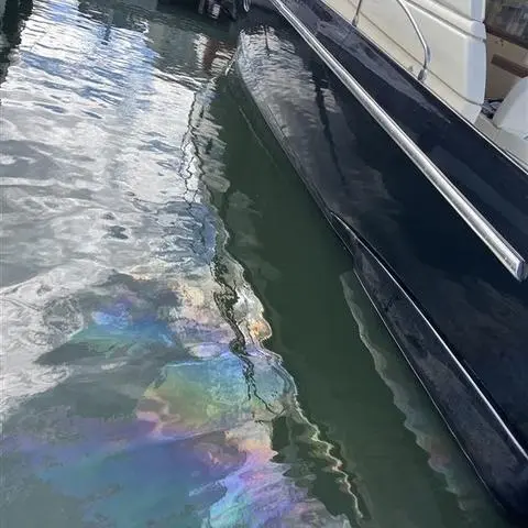 Im Mainzer Zollhafen wurde diese Gewässerverunreinigung entdeckt. Die Ermittlungen der Wasserschutzpolizei dazu laufen.