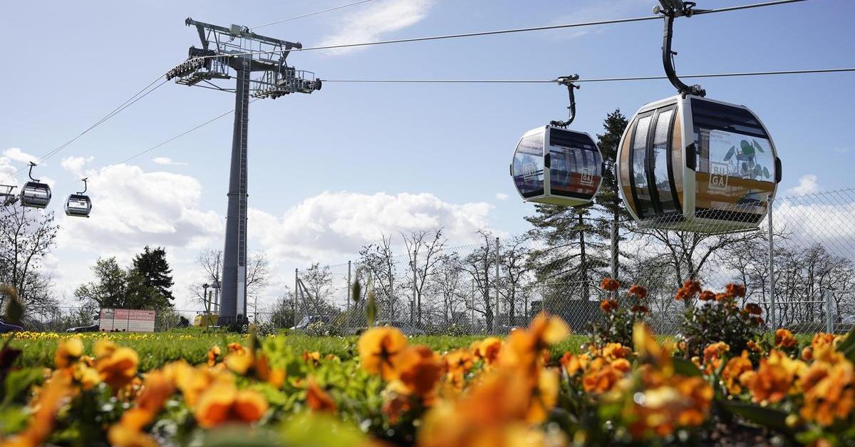 Mainzer Ferienkarte kommt an