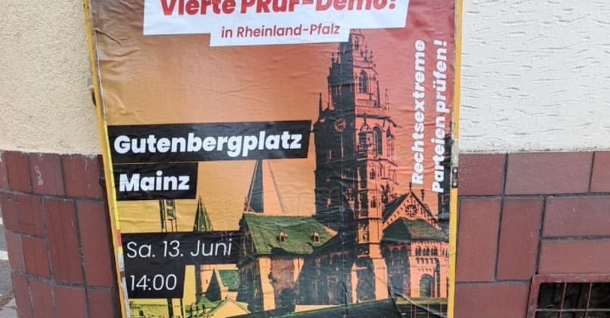 Darum lässt Mainz keine Demo-Plakate mehr zu