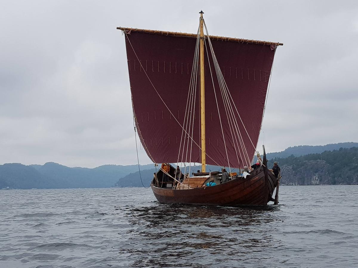 Wikingerschiff fährt an Mainz vorbei