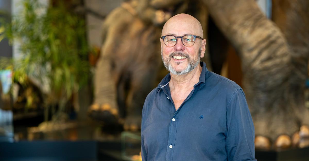 Mainzer Naturhistorisches Museum: Direktor Herkner über Forschung und ...