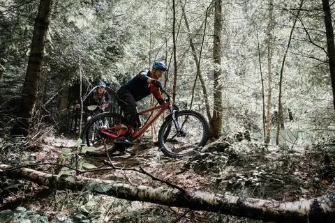 Mit dem Mountainbike quer durch den Wald ist nur auf eigens dafür ausgewiesenen Strecken möglich. Ansonsten ist grundsätzlich das Radfahren außerhalb der Waldwege streng verboten. 