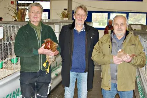 Zu den erfolgreichen Rassegeflügelzüchtern im Odenwaldkreis gehören Werner Gebhardt (links), Olfen, mit seinen Bielefelder Kennhühnern und Adam Daum (rechts), Birkert, mit seinen Tauben der Rasse Süddeutsche Blassen, gelb. Glückwünsche gab es von Michelstadts Erstem Stadtrat Roger Tietz. © Hans-Dieter Schmidt