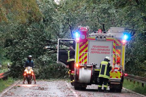 Mehrere Straßen wurden durch umgestürzte Bäume blockiert, wie hier auf der B44 am Langener Waldsee. Foto: Mark Schüler 
