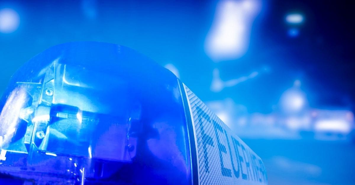 Feuer in Oppenheim zerstört mehrere Gartenhütten