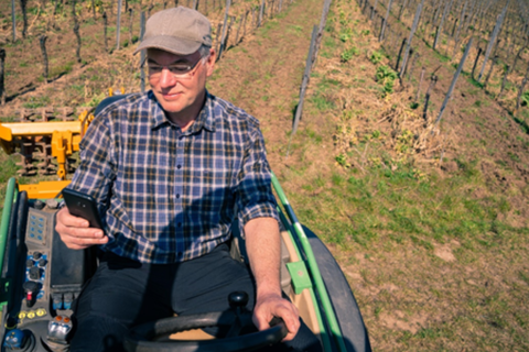 Der Winzer Richard Grünewald hat sein Smartphone während der Arbeit im Weinberg immer dabei. Der Grund: Eine App, die ihm dabei hilft, Pflanzenschutzmittel klimafreundlicher zu verteilen.  Foto: Marta Thor 