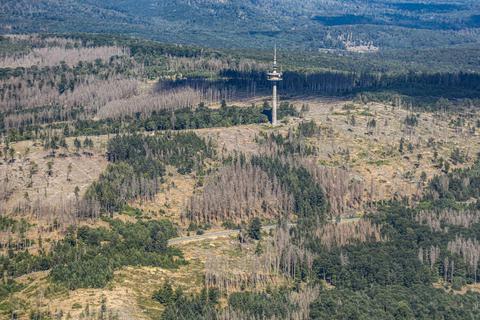 Beim Blick aus dem Flieger ist gut zu erkennen, wie trocken die Böden in einigen Waldgebieten derzeit sind, etwa rund um den Fernmeldeturm Hohe Wurzel im Taunus. Hier ist die Brandgefahr besonders groß. Foto: Harald Kaster