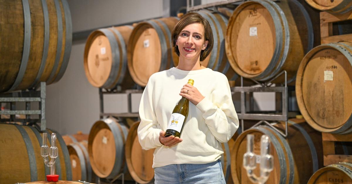 Supermarkt-Aktion: Zwei Weingüter aus Rheinhessen und Nahe bald in Lidl ...