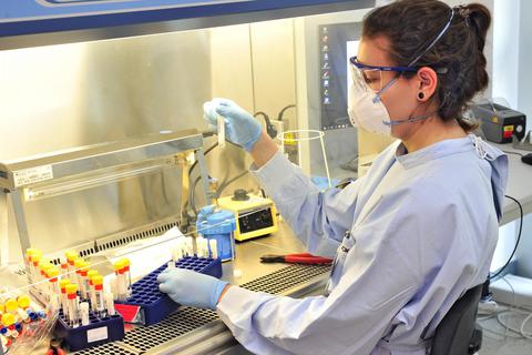 Im Labor werden Proben auf den SARS-CoV-2-Erreger untersucht. Foto: Thomas Schmidt