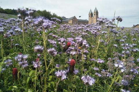 Die Abtei St. Hildegard in Rüdesheim-Eibingen. Im Frühjahr beginnt die Pilgersaison. Foto: Simone Viel