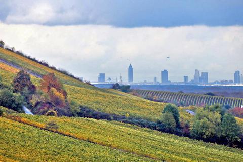 Starke Region in Rhein-Main, so will sich Rheinhessen bundesweit als Marke etablieren. Foto: hbz/Michael Bahr