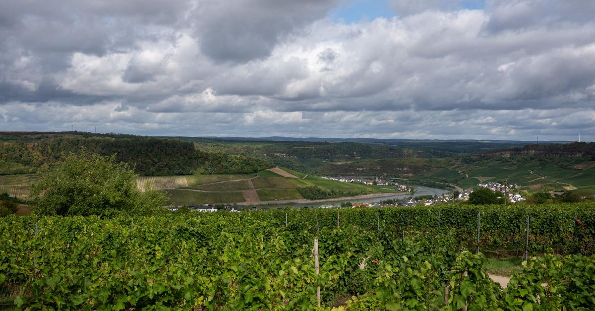 Autumn weather in Rhineland-Palatinate and Saarland