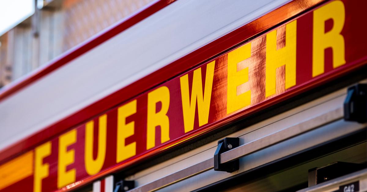 Unbekannte laden haufenweise Chemikalien in Weinbergen ab