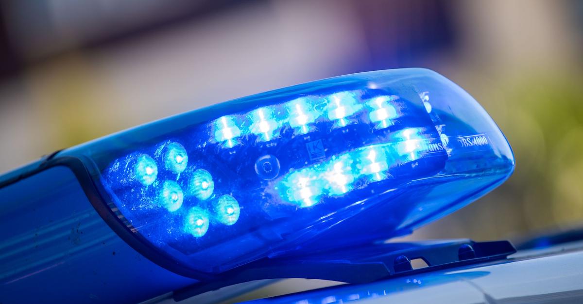 Unbekannte beschädigen Seuchenschutzzaun in Ingelheim 