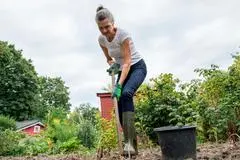 Mit der Aktion "Natur im Garten" werden die ökologischen Gärten ausgezeichnet. Gesundheit und Lebensqualität sollen gefördert werden, durch das, was man im Garten tue, so das Ziel der Aktion.
