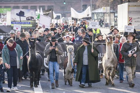 In Begleitung von drei Alpakas demonstrierten mehrere hundert Schäfer und andere Weidetierhalter in Wiesbaden gegen den Wolf. Foto: dpa