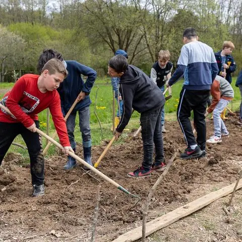 Welche Pflanzen passen nebeneinander, wer hält besser Abstand? Auch das lernen die Kinder beim Projekt.