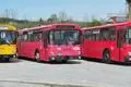 Historische Busse werden zum Backfischfest in Worms wieder eingesetzt.