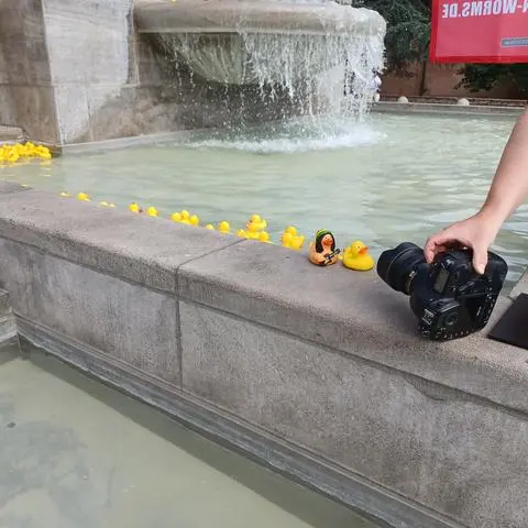 Singt nicht und will auch nicht zu den anderen Enten ins Wasser: Der Versuch, Bob Marley mit den Wormser Enten zu vergesellschaften, war's dem Wormel aber wert.