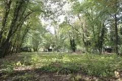 Kein Interesse an einem gemeinsamen Garten: Das Gelände zwischen Kita und Friedhof in Leiselheim bleibt zunächst einmal ungenutzt.