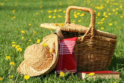 Ein Picknickkorb auf einer Frühlingswiese. Archivfoto: Fotolia/Sandra Cunningham