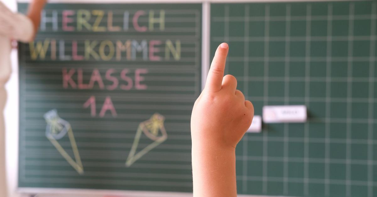 The current school development plan recommends three new schools for Mainz