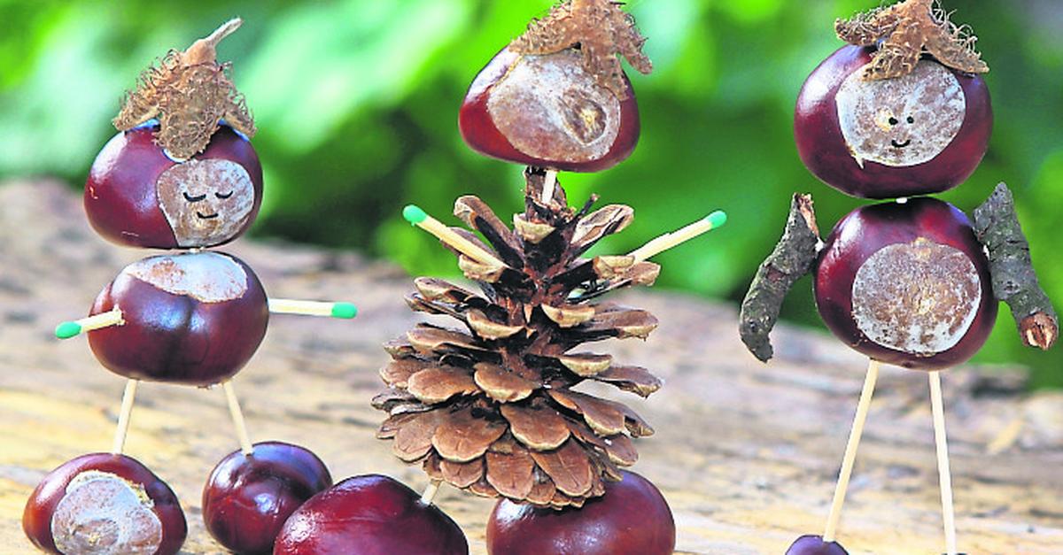 Crucenia Kastanienm nnchen