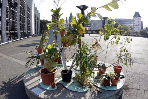 Im vergangenen Jahr bespielte Rathauspflanzenkunst den Sockel von Hans Arps "Stundenschläger".