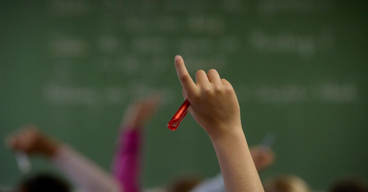 Kreistag beschließt Schulentwicklungsplan für Mainz-Bingen