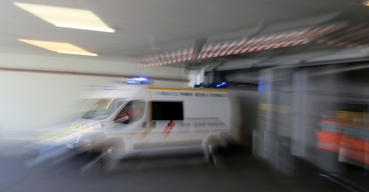 Frankreich meldet ersten Shamonda-Virus-Fall beim Menschen