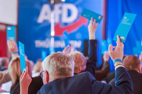 Die AfD hat in jüngsten Umfragen an Zustimmung gewonnen.