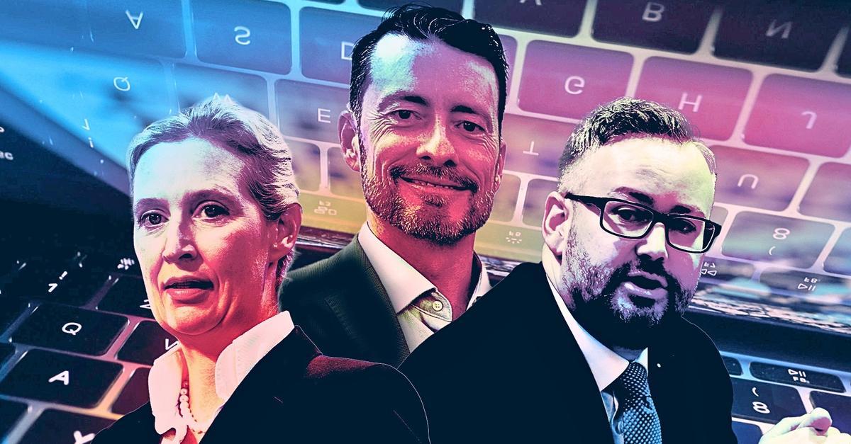 AfD-Leak: Was die E-Mails über Rheinland-Pfalz und Hessen bislang zeigen