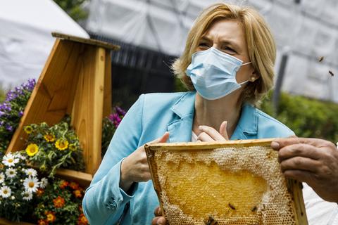 Landwirtschaftsministerin Julia Klöckner hat Ärger mit Bienenschützern - wegen eines Insektizids. Archivfoto: dpa
