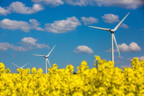 In Hessen boomt die Windkraft. Angesichts der Änderungen im Erneuerbare-Energien-Gesetz (EEG) dürfte sich das jedoch bald ändern. Der Neubau von Windanlagen ist künftig für Investoren wesentlich risikoreicher. Foto: dpa  Foto: dpa