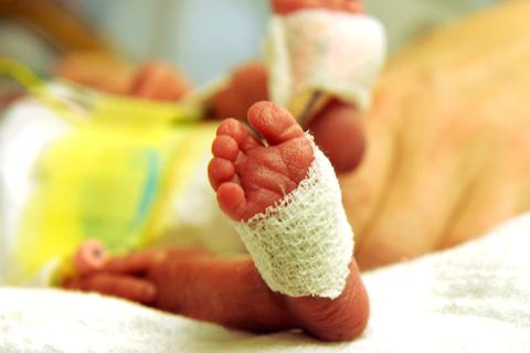 Der Fuß eines Frühchens, das in einem Inkubator einer Frühgeborenenstation liegt. Foto: dpa