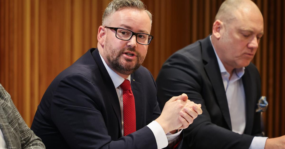 Official: Sebastian Münzenmaier wants to become the AfD leader in ...