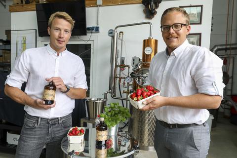 Zum unverkennbaren Geschmack des „Unique Gin“, den Christoph Edel (links) und Andre Burkhard in Pfungstadt herstellen, gehören Erdbeeren und eine Gewürzmischung. Foto: Torsten Boor