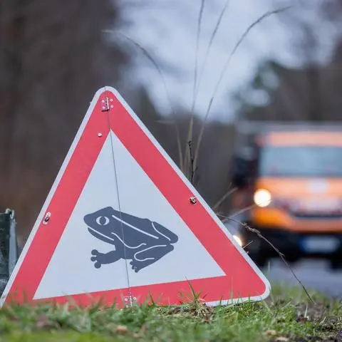 Nach eisiger Kälte kommen mit den milden Temperaturen die Kröten wieder in Bewegung. Weil die Amphibien bei ihrem Weg zu den Laichplätzen oft über Straßen wandern, bittet der Nabu Autofahrer um Vorsicht.