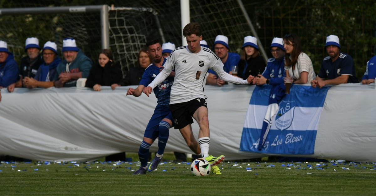 SCHRECKSEKUNDE IN KOLUMBIENPAPST HOLT SICH EIN BLAUES AUGE visual data 6